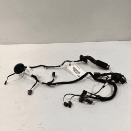 2016 - 2018 AUDI S6 A6 REAR RIGHT PASSENGER SIDE DOOR WIRE WIRING HARNESS O