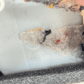 2015-2020 BMW 4 SERIES REAR RIGHT PASSENGER C PILLAR UPPER COLUMN TRIM COVE