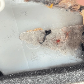 2015-2020 BMW 4 SERIES REAR RIGHT PASSENGER C PILLAR UPPER COLUMN TRIM COVE 2015-2020 BMW 4 SERIES REAR RIGHT PASSENGER C PILLAR UPPER COLUMN TRIM COVE