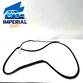 2018-20 HONDA ACCORD REAR LEFT DRIVER DOOR WINDOW OPENING SEAL WEATHERSTRIP