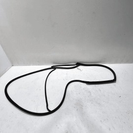 2018-20 HONDA ACCORD REAR LEFT DRIVER DOOR WINDOW OPENING SEAL WEATHERSTRIP
