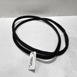 2018 - 2020 HONDA ACCORD FRONT DRIVER SIDE DOOR ON BODY WEATHERSTRIP SEAL O