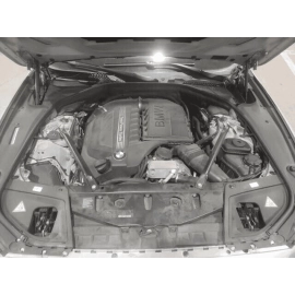 Rear Left Door Sill Scuff Plate Panel BMW 535iX 2011-2016 OEM