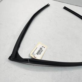 2018-2020 HONDA ACCORD REAR PASSENGER DOOR WINDOW GLASS RUN CHANNEL SEAL OE