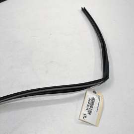 2018-2020 HONDA ACCORD FRONT DRIVER DOOR WINDOW GLASS RUN CHANNEL SEAL OEM