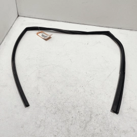 2019-2023 TOYOTA CAMRY REAR RIGHT DOOR GLASS RUN WEATHERSTRIP SEAL OEM
