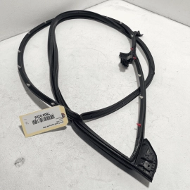 2018 - 2023 TOYOTA CAMRY FRONT RIGHT PASSENGER DOOR SEAL RUBBER WEATHERSTRI