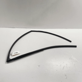 2016-21 Honda Pilot Front Right Passenger Door Window Glass Run Channel Sea