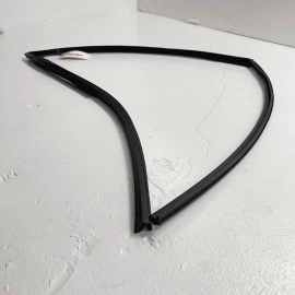 2016-21 Honda Pilot Front Right Passenger Door Window Glass Run Channel Sea