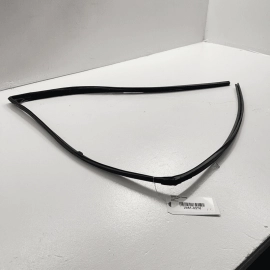 2016-21 Honda Pilot Passport Front Driver Door Window Glass Run Channel Sea