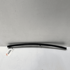 2015-2020 ACURA TLX REAR RIGHT PASENGER DOOR WINDOW RUNNING CHANNEL SASH OE