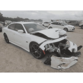 2011-2021 DODGE CHARGER RT R/T 392 FRONT  RIGHT PASSENGER DOOR SHELL WHITE 