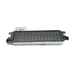 2018 - 2020 HONDA ACCORD HYBRID Radiator Guard Grille OEM
