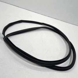 2018 - 2022 TOYOTA CAMRY FRONT LEFT DRIVER SIDE DOOR BODY WEATHERSTRIP SEAL