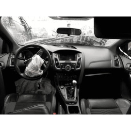 2012-2018 Ford Focus ST Rear Left Door Shell Insulation Foam Absorber Pad O