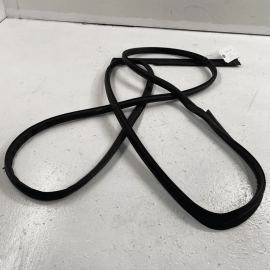 2009-2020 DODGE JOURNEY REAR LEFT SIDE ON DOOR WEATHERSTRIP SEAL OEM