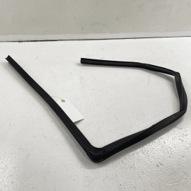 2009-2020 DODGE JOURNEY REAR LEFT SIDE ON DOOR WEATHERSTRIP SEAL OEM