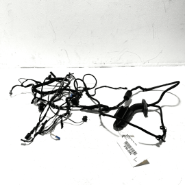 2009-2015 BMW 750 Li REAR LEFT DRIVER SIDE DOOR WIRE WIRING HARNESS OEM