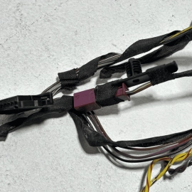 2009-2015 BMW 750 Li REAR LEFT DRIVER SIDE DOOR WIRE WIRING HARNESS OEM