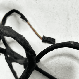 2009-2015 BMW 750 Li REAR LEFT DRIVER SIDE DOOR WIRE WIRING HARNESS OEM