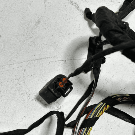 2009-2015 BMW 750 Li REAR LEFT DRIVER SIDE DOOR WIRE WIRING HARNESS OEM