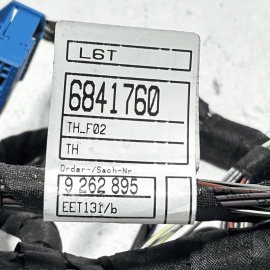 2009-2015 BMW 750 Li REAR LEFT DRIVER SIDE DOOR WIRE WIRING HARNESS OEM