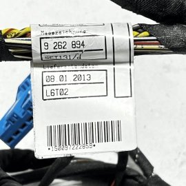 2009-2015 BMW 750 Li REAR LEFT DRIVER SIDE DOOR WIRE WIRING HARNESS OEM