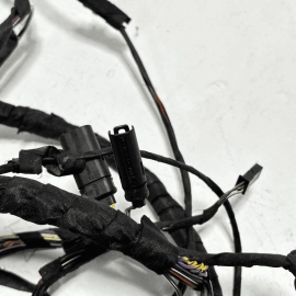 2009-2015 BMW 750 Li REAR LEFT DRIVER SIDE DOOR WIRE WIRING HARNESS OEM