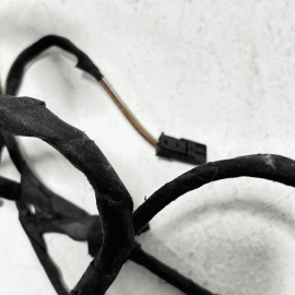 2009-2015 BMW 750 Li REAR LEFT DRIVER SIDE DOOR WIRE WIRING HARNESS OEM