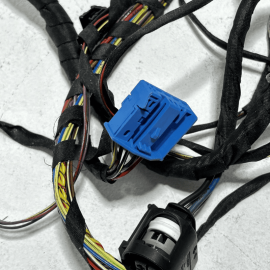 2009-2015 BMW 750 Li REAR LEFT DRIVER SIDE DOOR WIRE WIRING HARNESS OEM