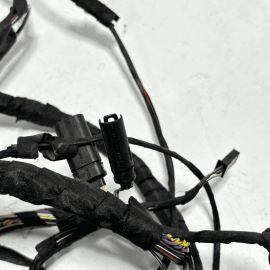 2009-2015 BMW 750 Li REAR LEFT DRIVER SIDE DOOR WIRE WIRING HARNESS OEM