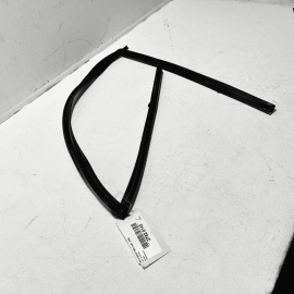 2009-2015 BMW 750 REAR LEFT DRIVER SIDE DOOR WINDOW GLASS RUN CHANNEL SEAL OEM