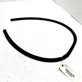 2009-2015 BMW 750 Li REAR LEFT DRIVER SIDE DOOR LOWER WEATHERSTRIP SEAL OEM