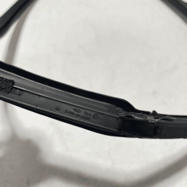 2016-21 Honda Civic Rear Left Driver Side Door Window Glass Run Channel Seal OEM