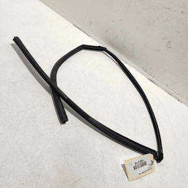 2016-21 Honda Civic Rear Left Driver Side Door Window Glass Run Channel Seal OEM