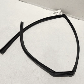 2016-21 Honda Civic Rear Left Driver Side Door Window Glass Run Channel Seal OEM