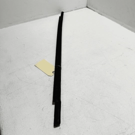 2016-2021 HONDA CIVIC REAR LEFT DOOR WINDOW EXTERIOR BELT WEATHERSTRIP SEAL OEM