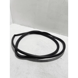 2018-2024 TOYOTA CAMRY REAR LEFT DRIVER SIDE DOOR BODY WEATHERSTRIP SEAL OEM