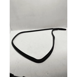 2018-2024 TOYOTA CAMRY REAR RIGHT PASSENGER SIDE DOOR BODY WEATHERSTRIP SEAL OEM