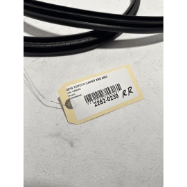 2018-2024 TOYOTA CAMRY REAR RIGHT PASSENGER SIDE DOOR BODY WEATHERSTRIP SEAL OEM