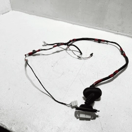 2019-2024 TOYOTA CAMRY REAR LEFT DRIVER SIDE DOOR WIRE WIRING HARNESS OEM 2019-2024 TOYOTA CAMRY REAR LEFT DRIVER SIDE DOOR WIRE WIRING HARNESS OEM