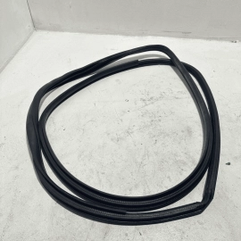 TOYOTA CAMRY 2018-2024 FRONT LEFT DRIVER SIDE DOOR BODY WEATHERSTRIP SEAL OEM