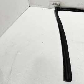 Toyota Camry 18-24 Rear Driver Glass Window Run Channel Weatherstrip Seal OEM