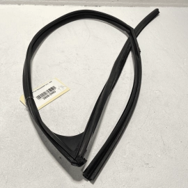 2021 Acura TLX Front Right Passenger Side Door Window Glass Run Channel Seal OEM