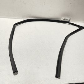 2021 Acura TLX Front Right Passenger Side Door Window Glass Run Channel Seal OEM
