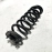 Rear Right Or Left Side Suspension Coil Spring Acura TLX 2021-2023 OEM