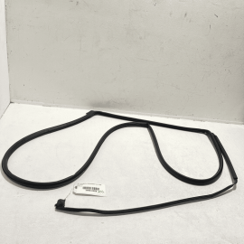 2021-2023 Acura TLX Rear Left Driver Side Door Weatherstrip Rubber Seal OEM