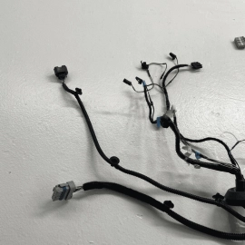 TESLA MODEL S 2017 - 2020 REAR LEFT DRIVER SIDE DOOR WIRE WIRING HARNESS OE