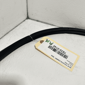 2018-2024 TOYOTA CAMRY LE DOOR WEATHERSTRIP SEAL REAR RIGHT PASSENGER SIDE OEM