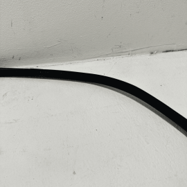 2018-2024 TOYOTA CAMRY LE DOOR WEATHERSTRIP SEAL REAR RIGHT PASSENGER SIDE OEM